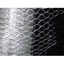 hexagonal wire mesh